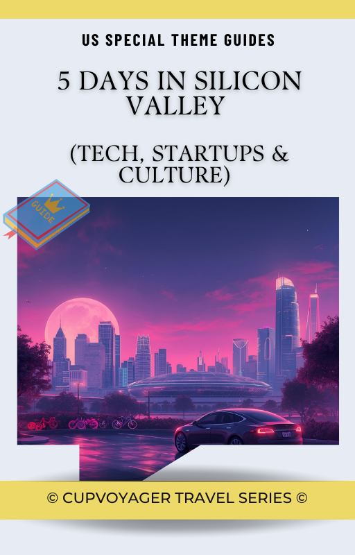 5 Days in Silicon Valley Cover